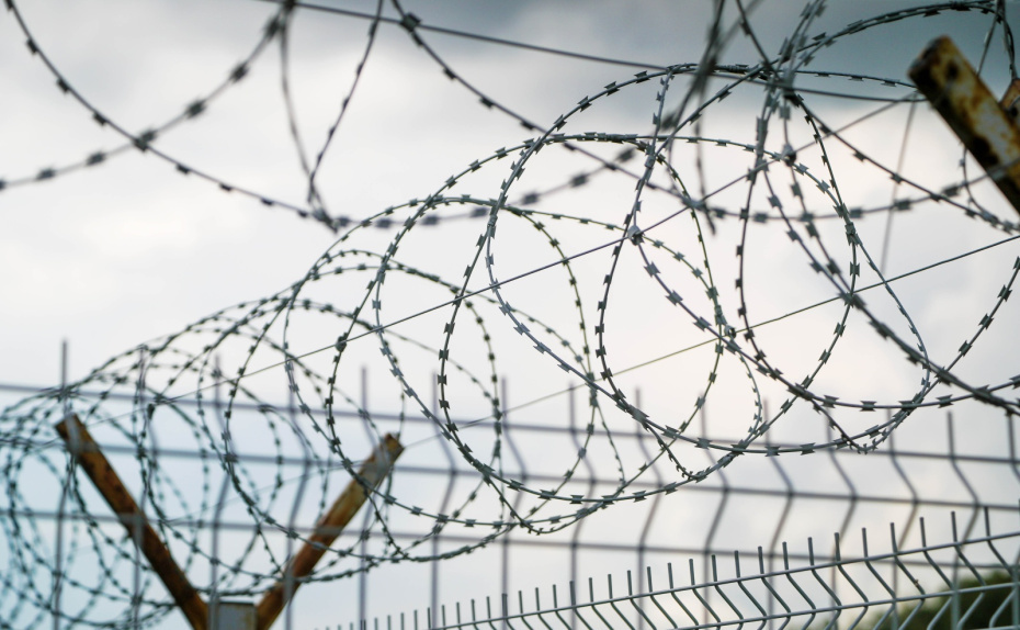    Алексей Белкин/NEWS.ru