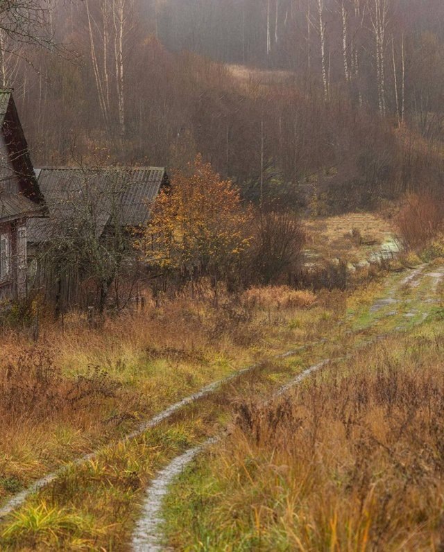 фото из интернета