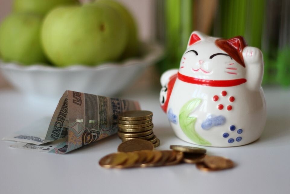    Копилка с деньгами / Медиасток.рф