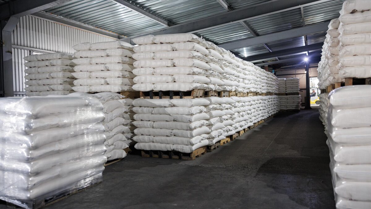    Фото: Sergey Elagin/Business Online