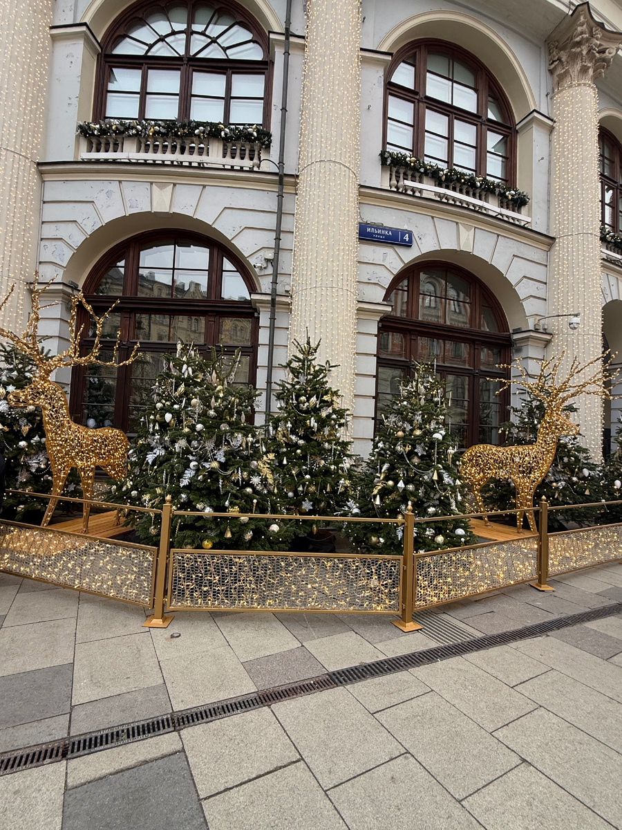 Вечером олени смотрятся гораздо интереснее.