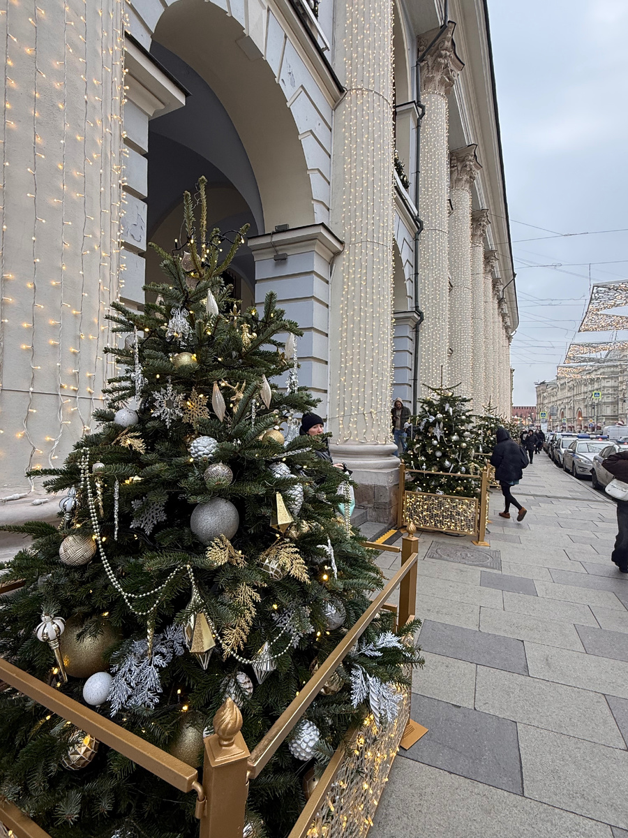 Ёлочный ряд вдоль Гостиного Двора. Фотография автора.