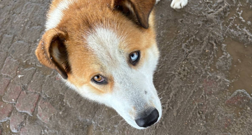    Фото из архива "ПроГорода"