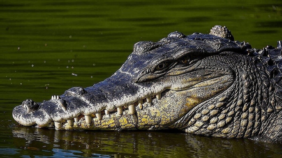    Изображение создано при помощи ИИ