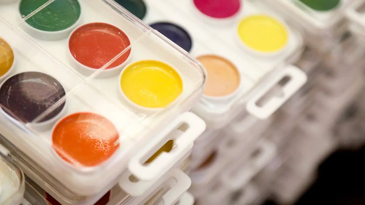    Фото: vm.ru Павел Евсеев