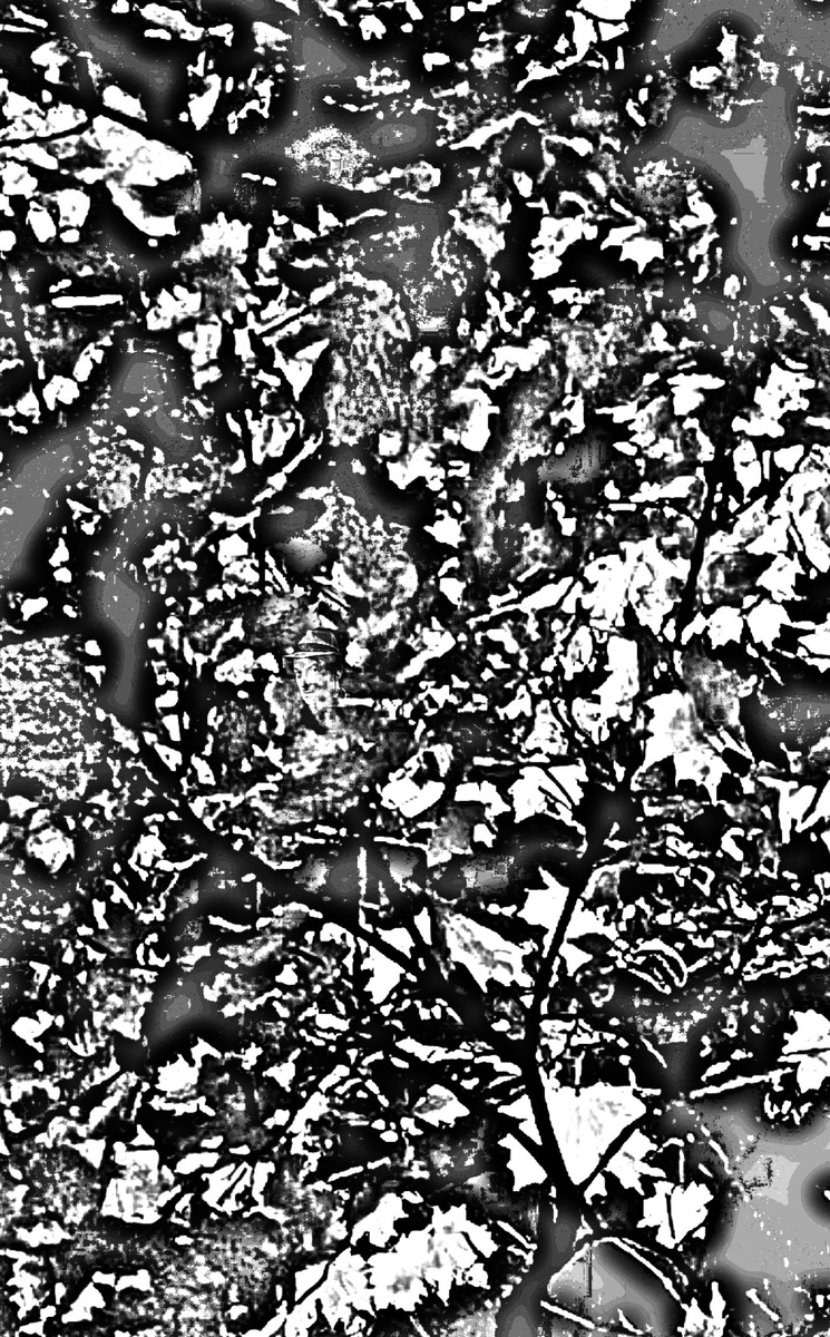 Тест на умение замечать малозаметное 