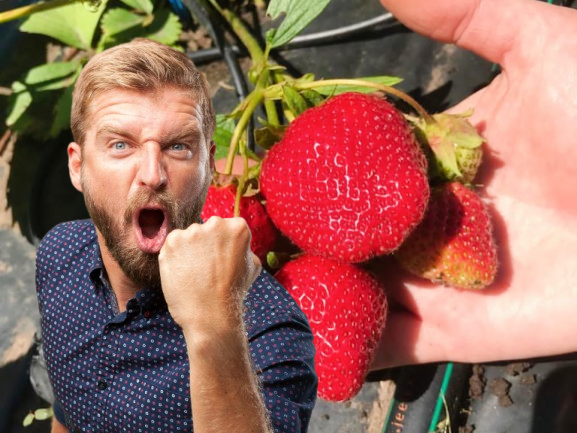 Фотоколлаж 