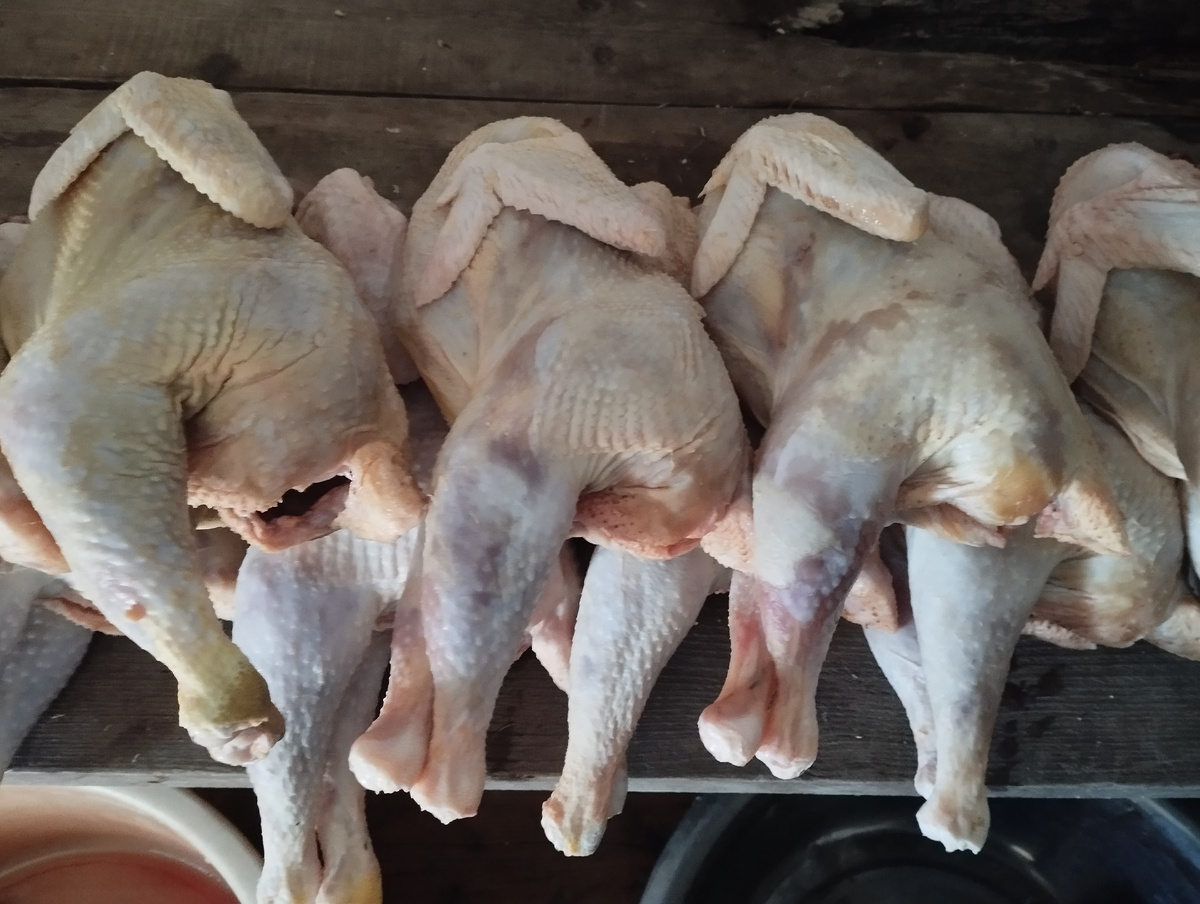 На тушёнку.