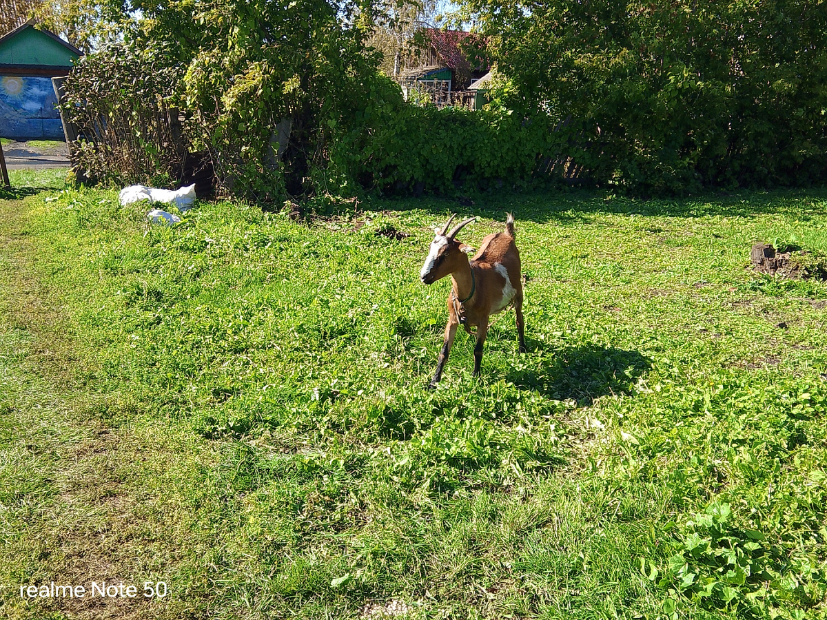 Вот это она Юля моя, 