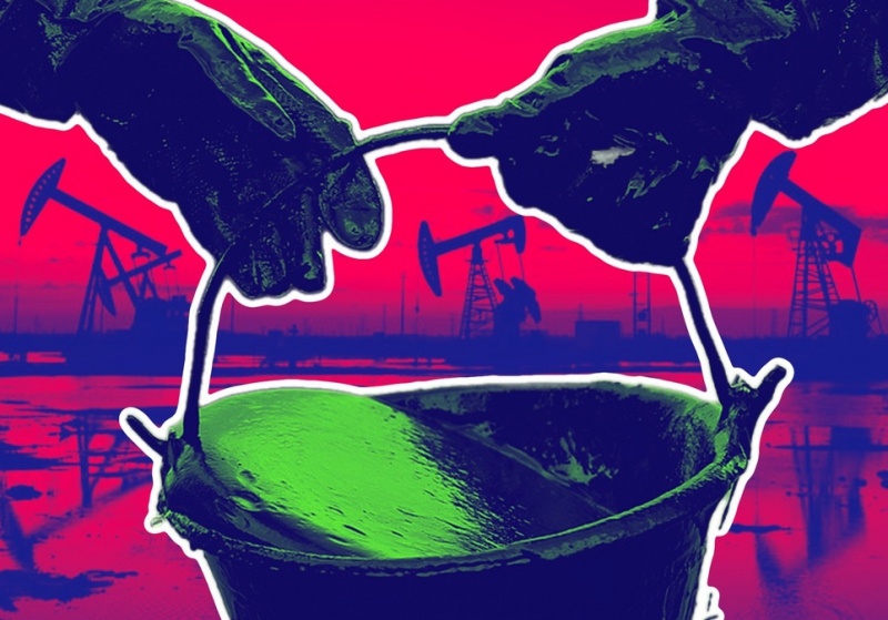    Иллюстрация: REX