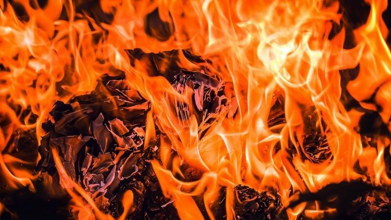    Фото: pxhere.com