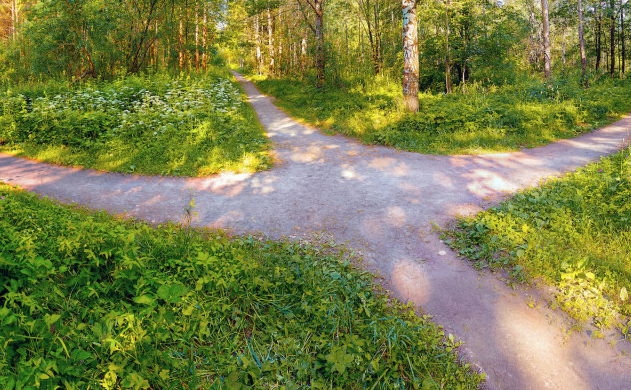 фотосток Shutterstock