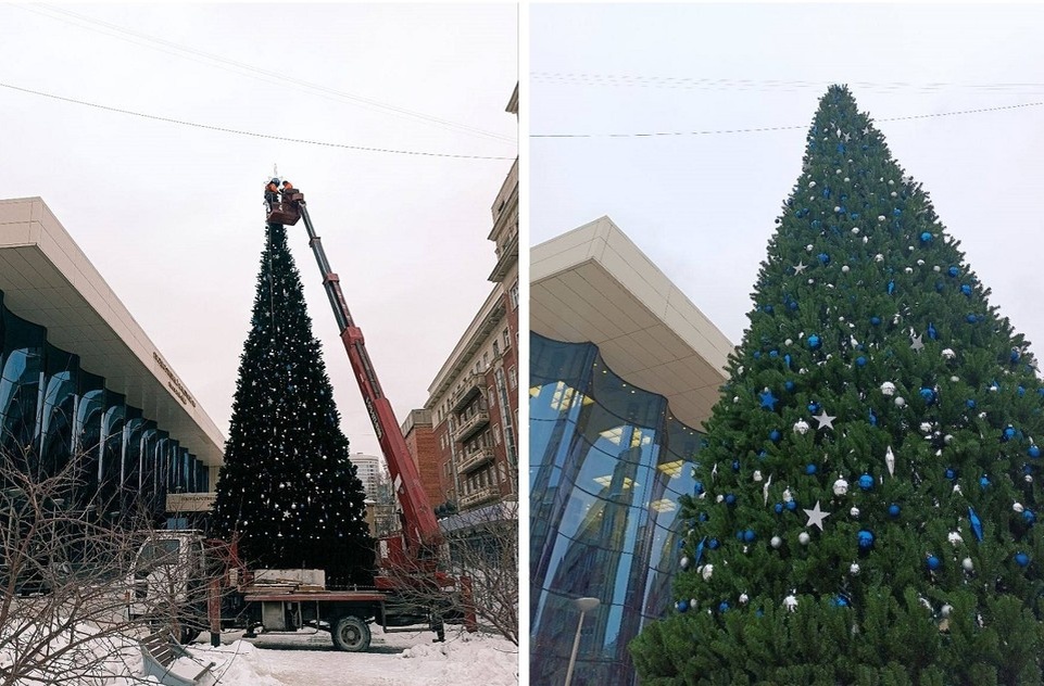    Эта ель станет одной из самых высоких в городе. Фото: телеграм-канал Анны Терешковой