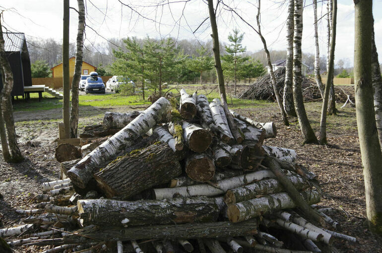   Игорь Самохвалов/«Парламентская газета»