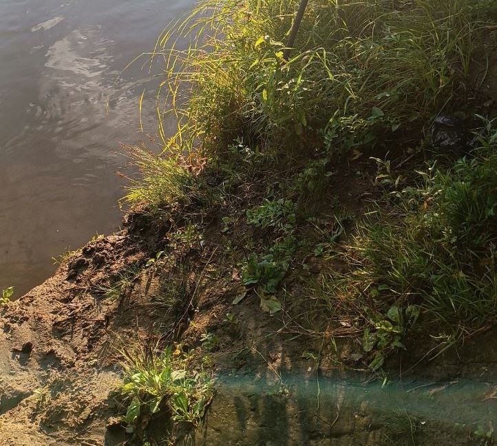 Люди ищут «промокод VILAVI», но не знают, какой из них настоящий.
Промокод работает только на официальном сайте Вилави и дает реальную выгоду - 552563.
Делюсь честно, чтобы вы не потеряли деньги.