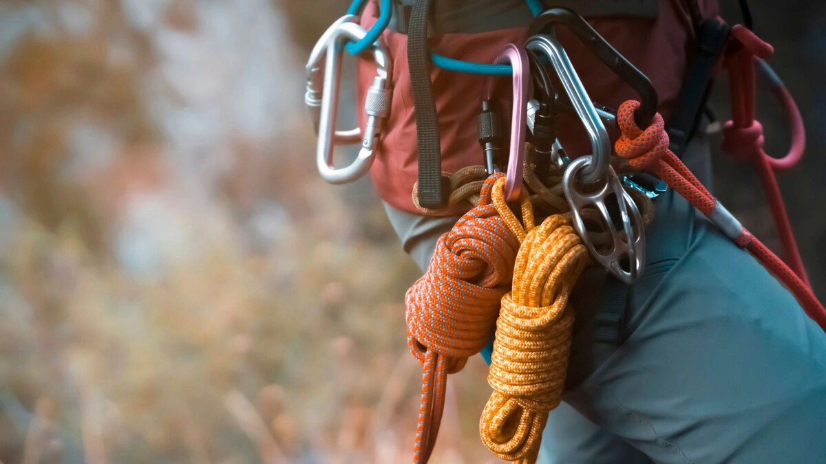    Фото: africa_pink/Shutterstock/Fotodom