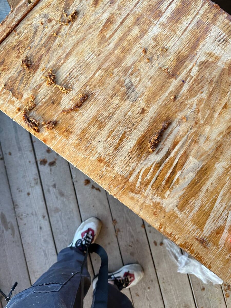 Результат снятия первого слоя лака смывкой