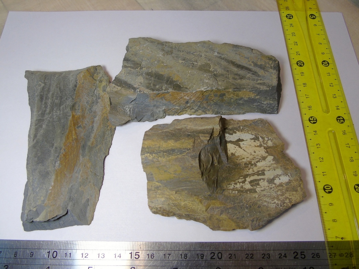 Сланец кварц-серицитовый