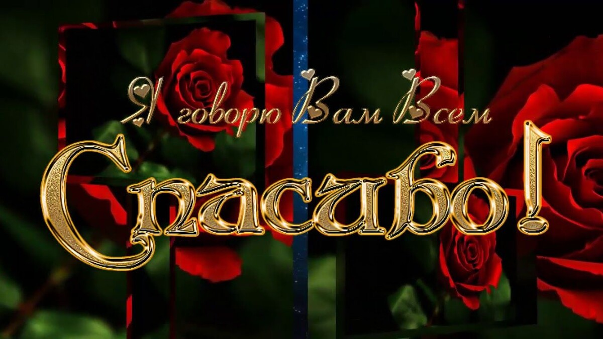 Фото из интернета.