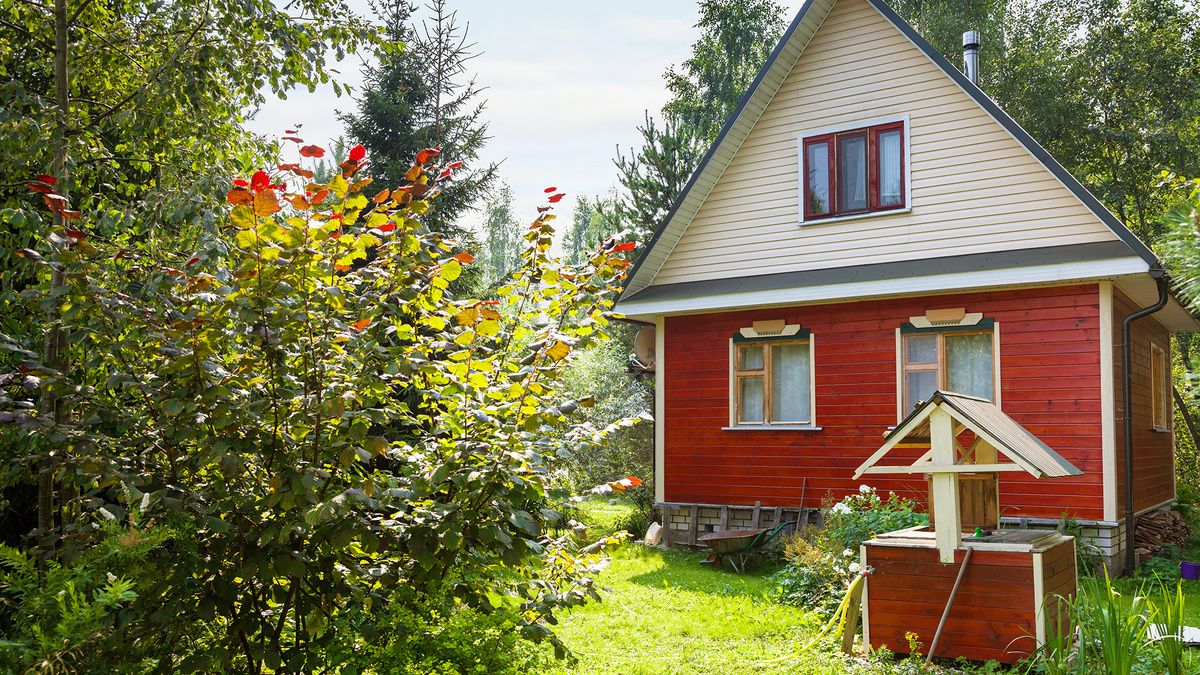 Фото из свободных источников