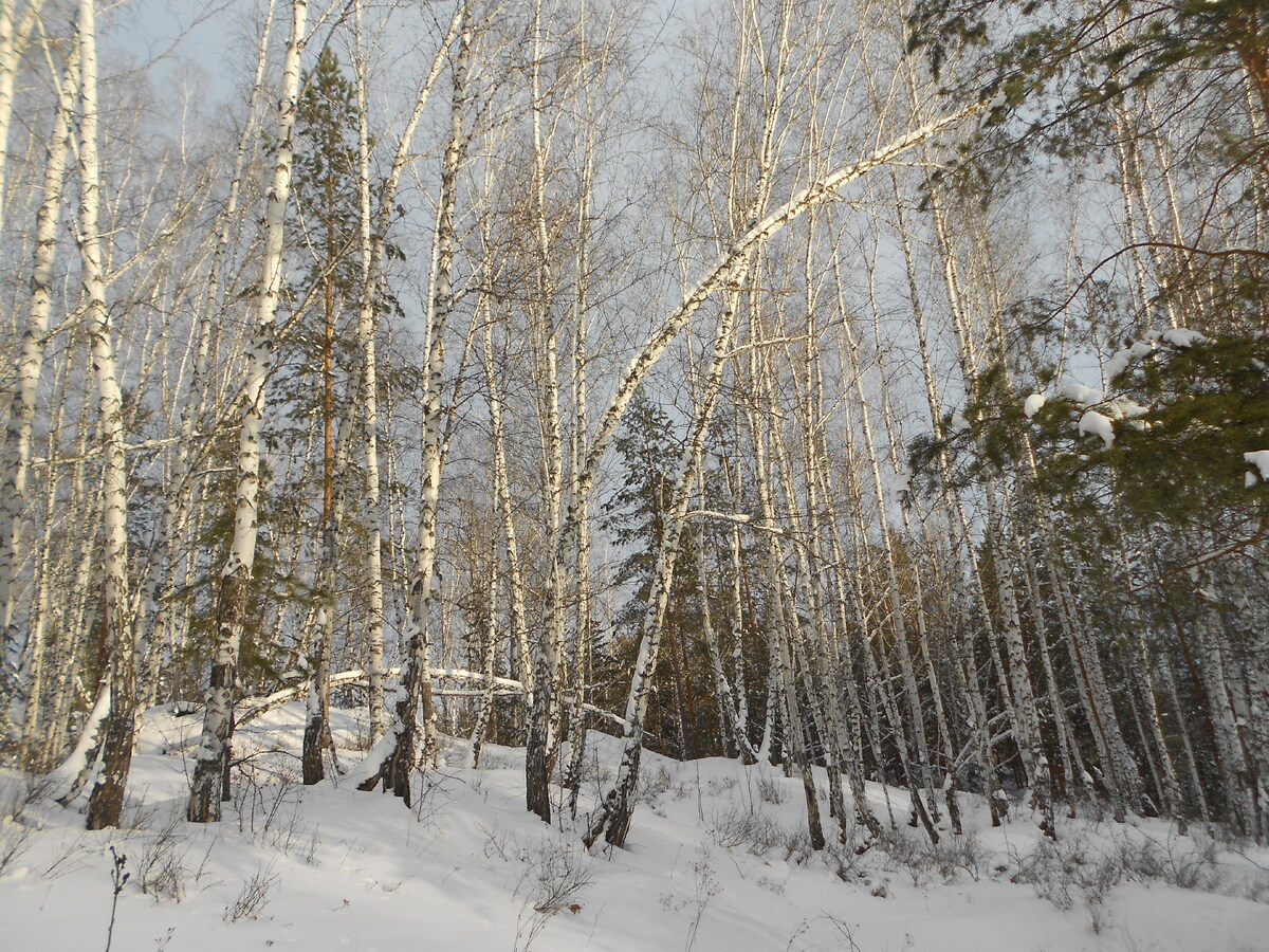 Фото из личного архива автора 