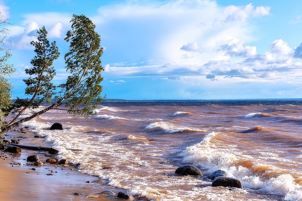 Фото Елены БЕЛОЗОРОВОЙ.