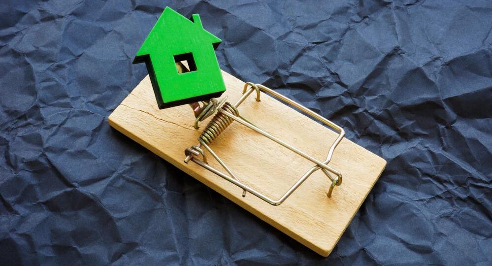 «Эффект Долиной» выявил семь проблем на рынке жилья России