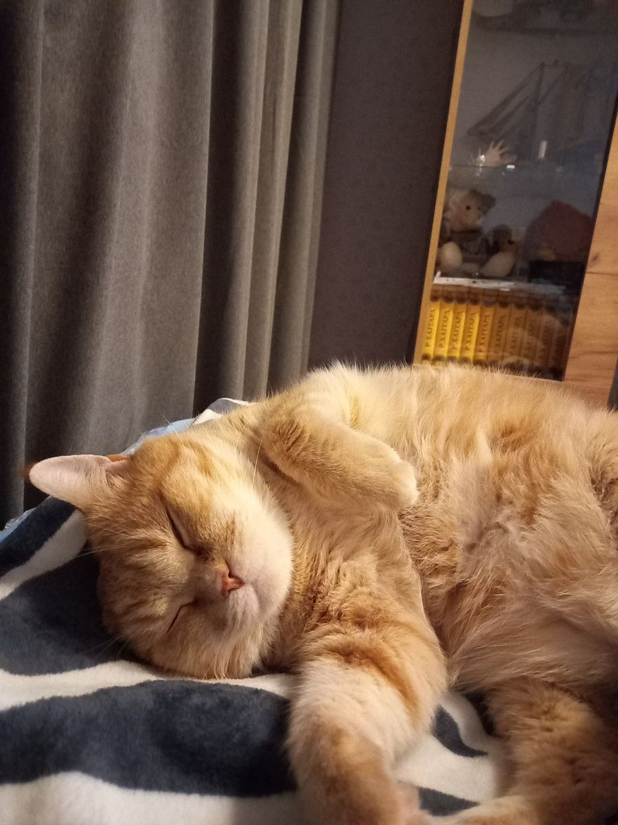 Малыш Листик