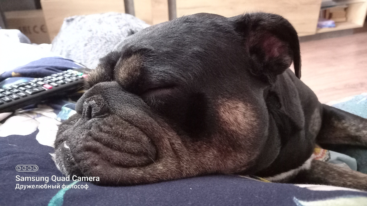 Малышка Боня