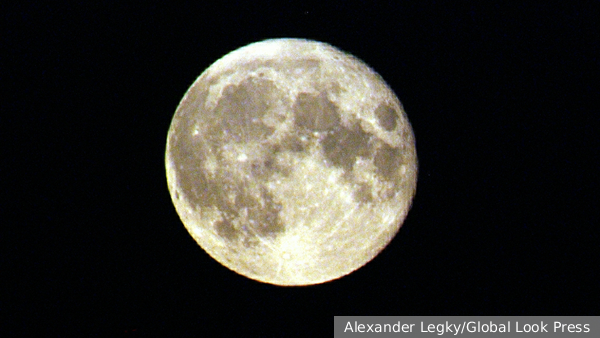     Фото: Alexander Legky/Global Look Press   
 Текст: Тимур Шайдуллин