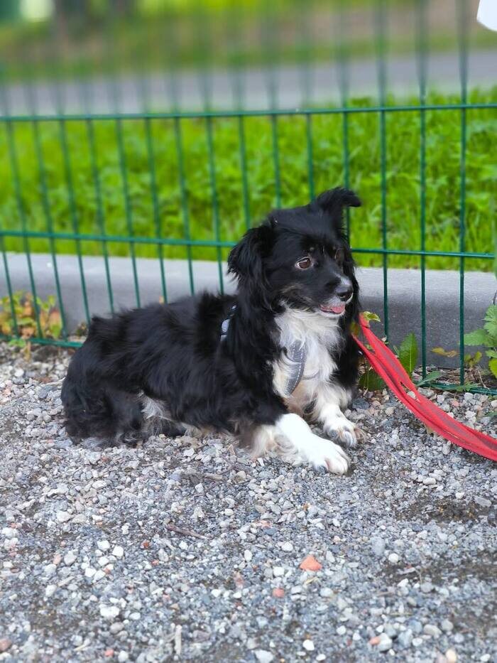 Листайте вправо, чтобы увидеть больше изображений