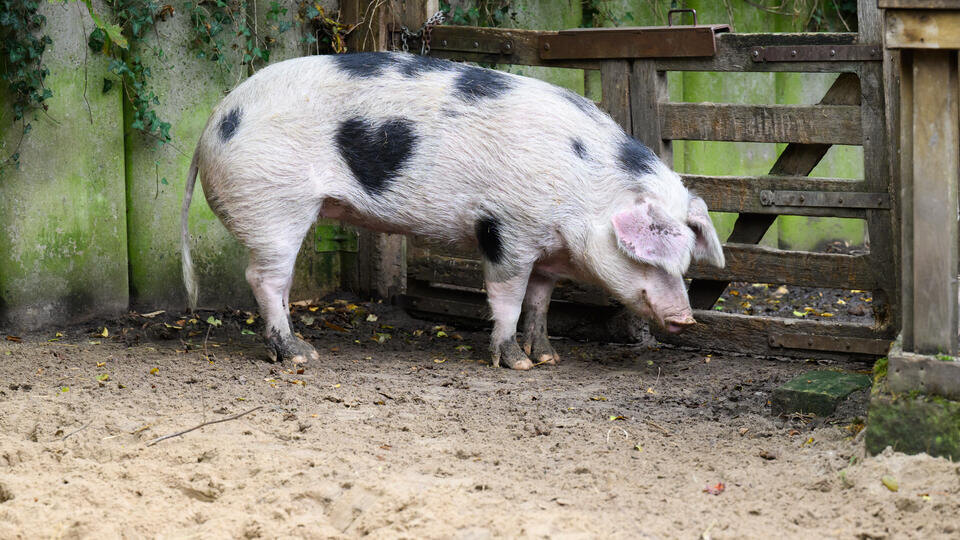 Фото: © Julian Stratenschulte/dpa/picture-alliance/TASS