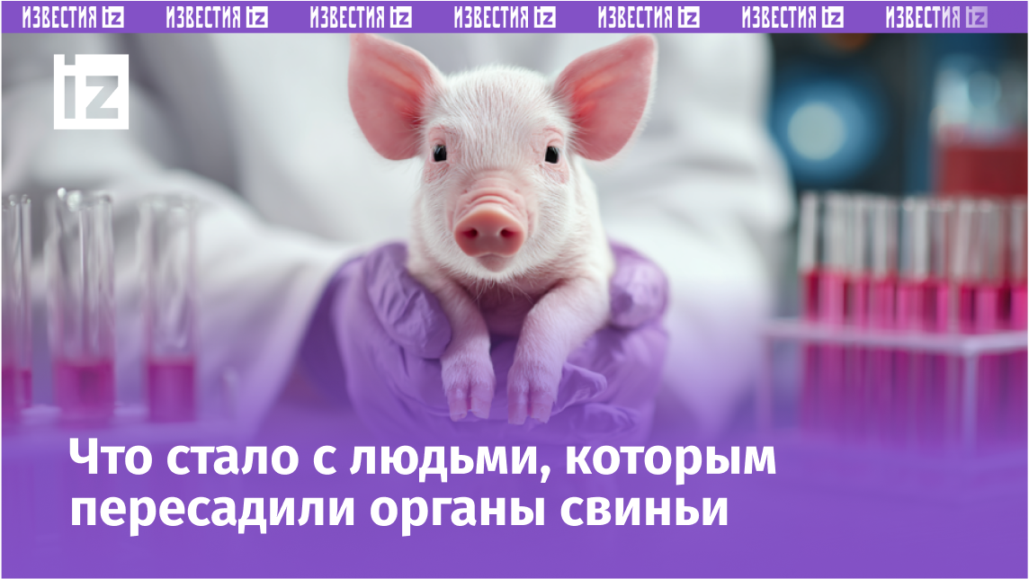 Фото: © РЕН ТВ