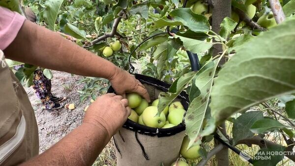    © РИА Новости Крым