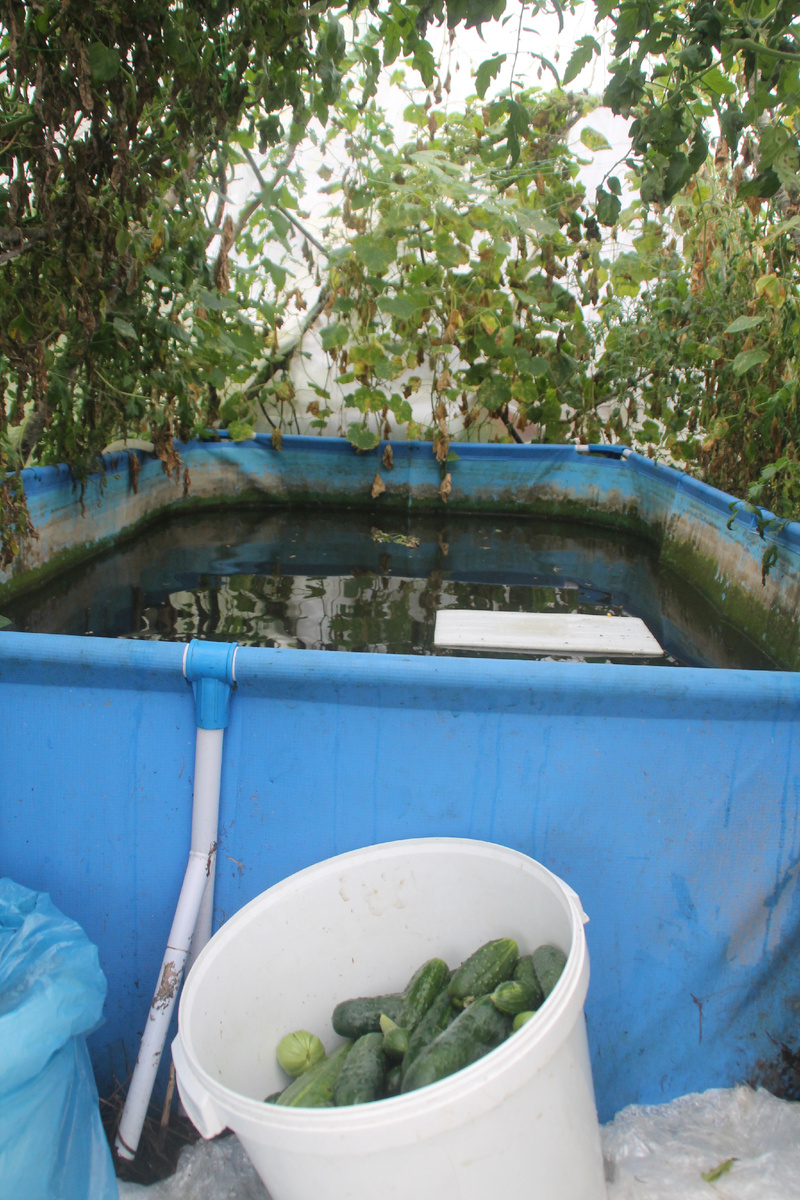 Фото из архива автора канала "Страна Тринадцитиморье" 