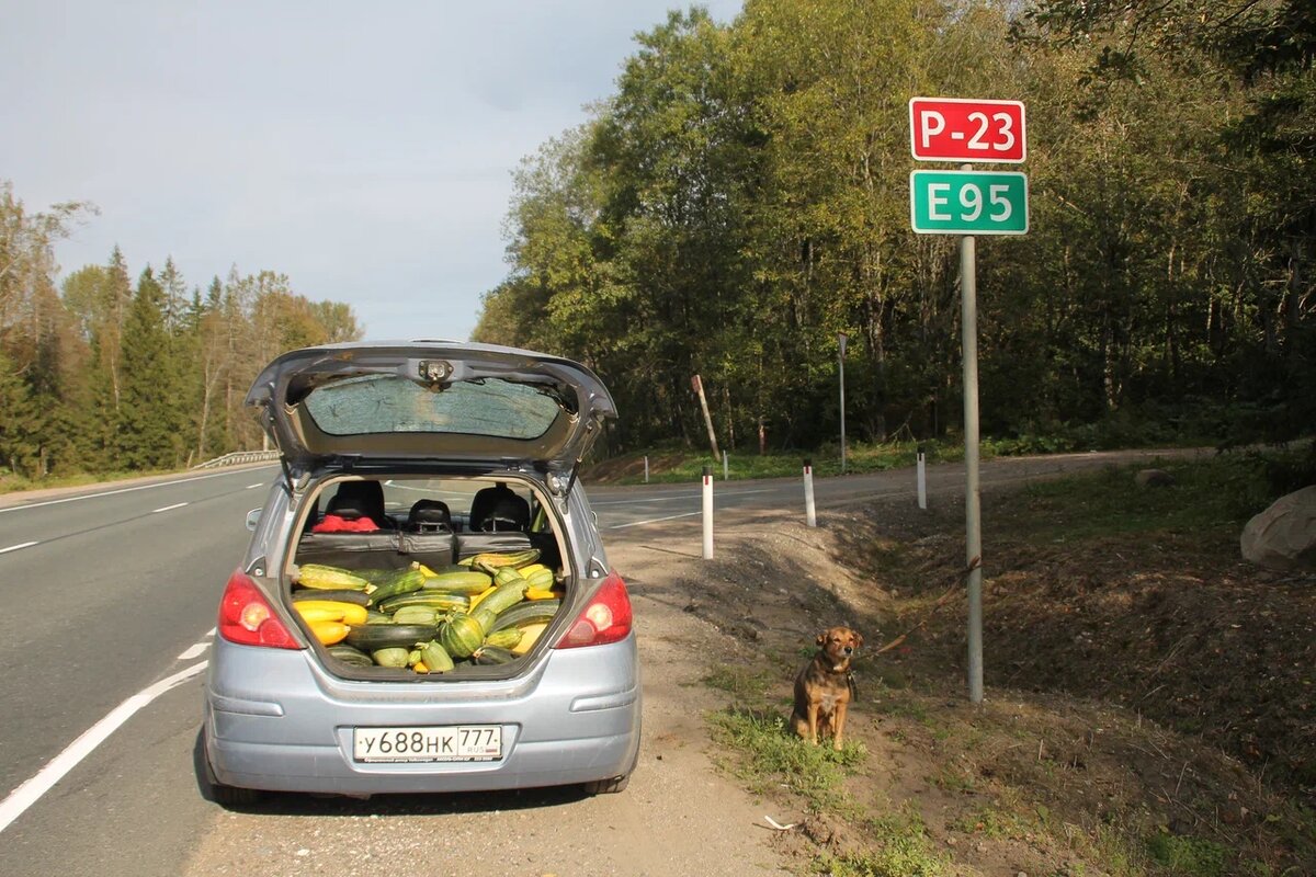 Фото из архива автора канала "Страна Тринадцитиморье" 