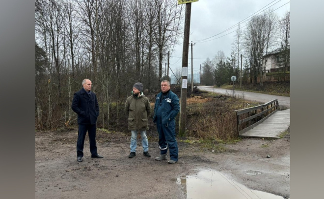    © Администрация Светогорского городского поселения