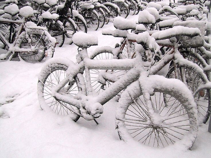 Велосипеды под снегом