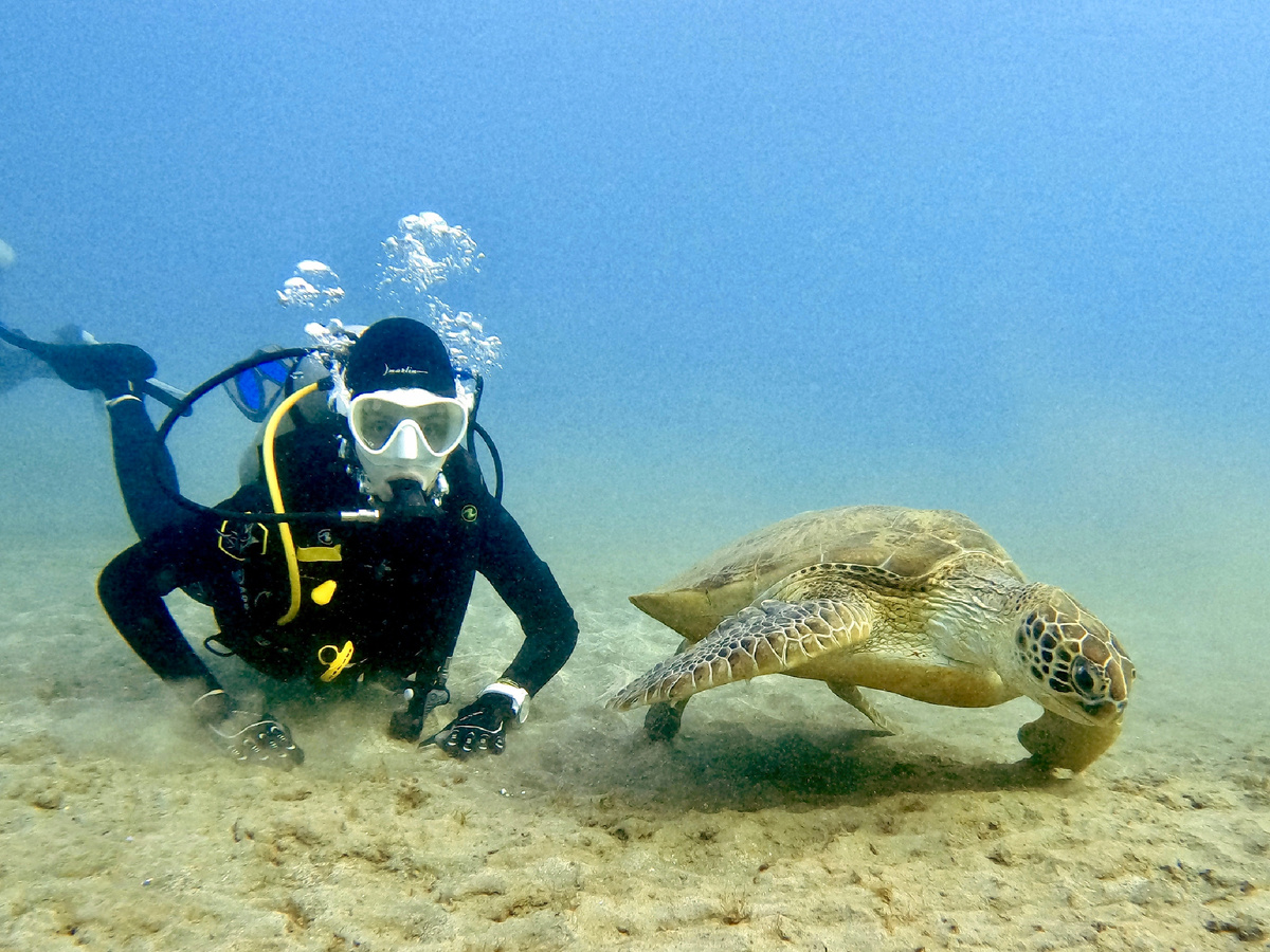 Анна с черепахой