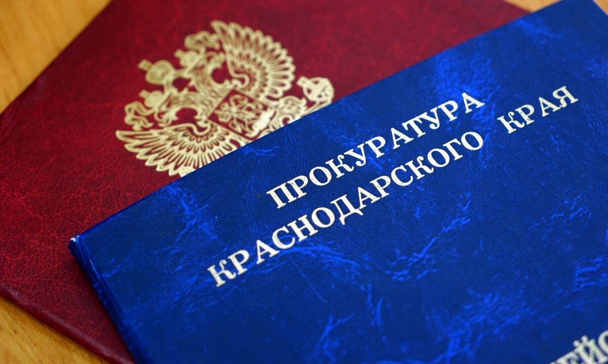    Фото Виктории Перевязко, «Кубань 24»