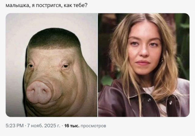    Мем с ИИ-свином и Сидни Суини. Фото: социальные сети