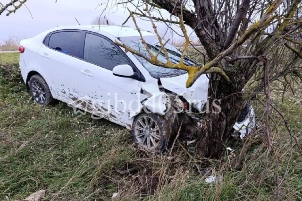    Младенец пострадал в результате наезда легковушки на дерево в Дагестане