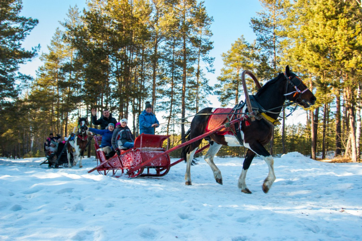 Открытый общедоступный источник Яндекс Картинки