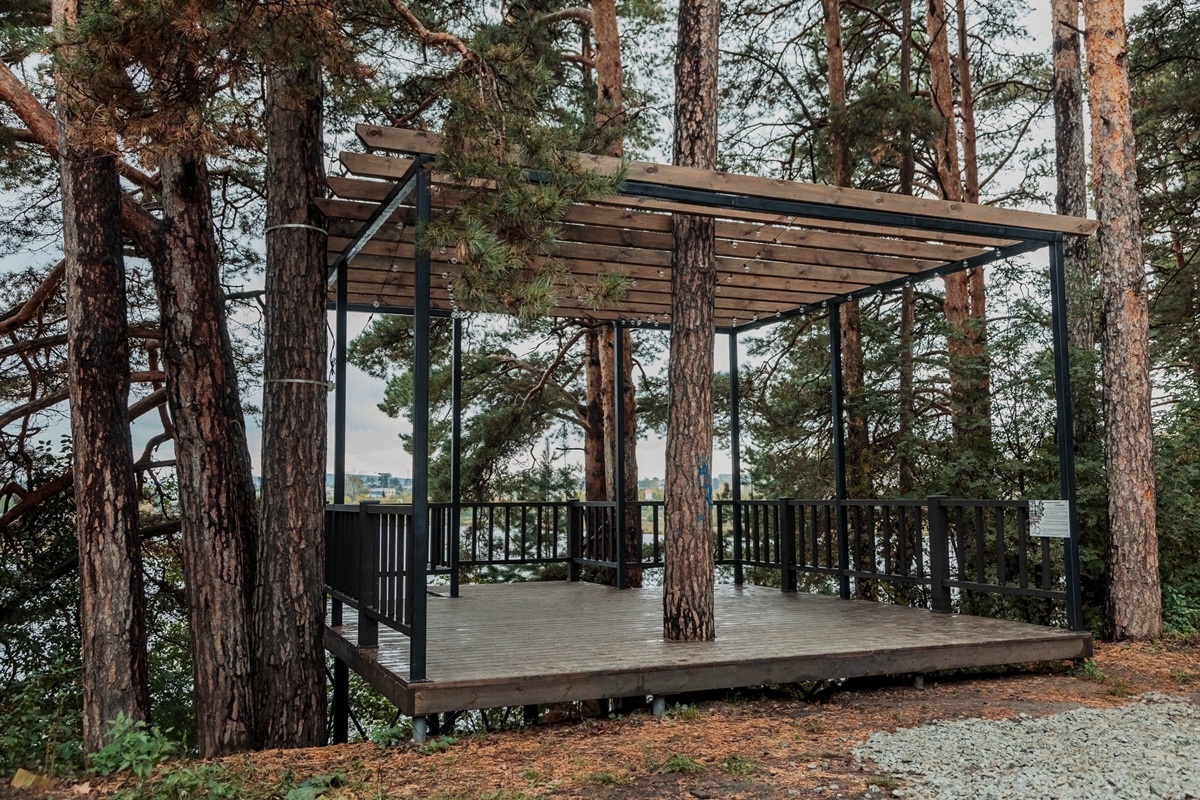    Фото: страница Дмитрия Нисковских во "ВКонтакте"