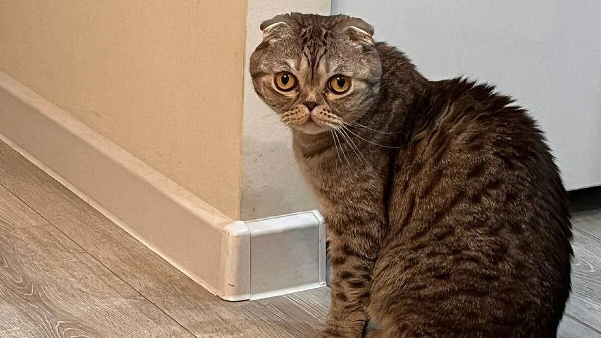    Фото: телеканал «Краснодар»