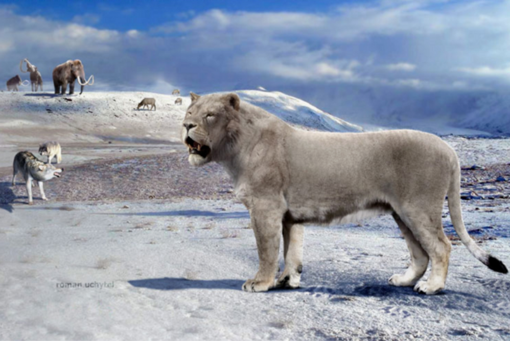 Пещерный лев. Автор роман учитель