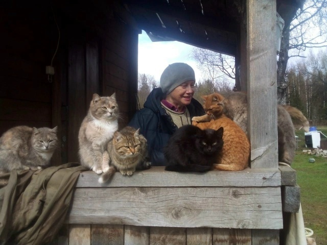 Тверская «Бабушка для кошки» известна на всю страну