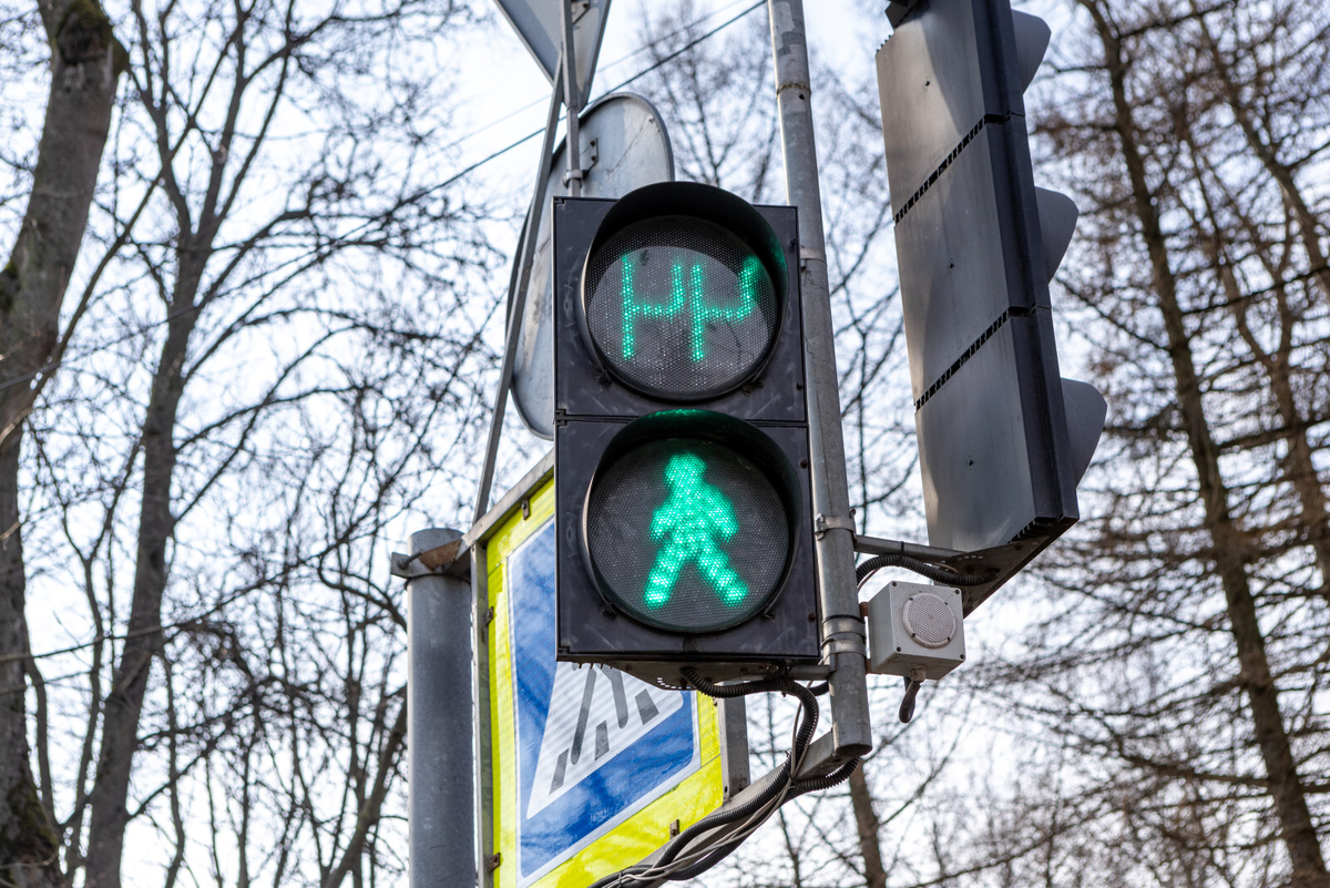 Фото: Олег Золото / «Петербургский дневник»
