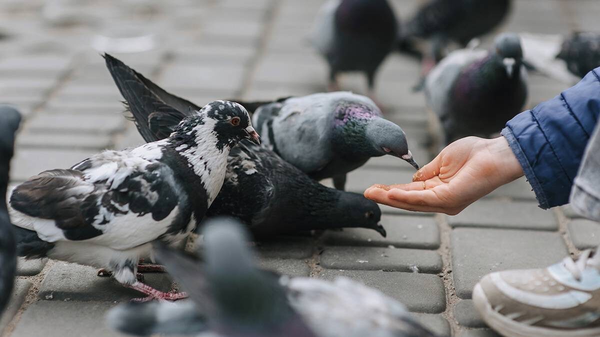    Фото: Shutterstock