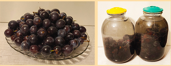 Настойка из терна.